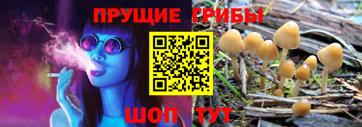 Галлюциногенные грибы Psilocybine cubensis Егорьевск